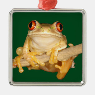 Ornamento De Metal Sapo