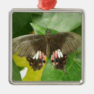 Ornamento De Metal Scarlet Swallowtail Butterfly Ornament