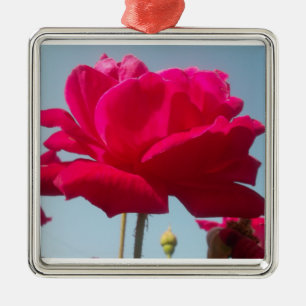 Ornamento De Metal Seja meu feliz Namorados sob o céu azul