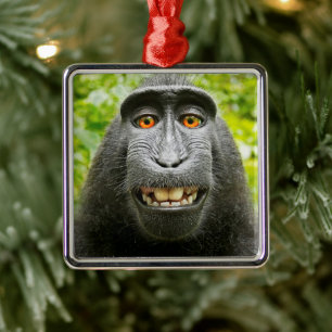 Ornamento De Metal Selfie de Macaco