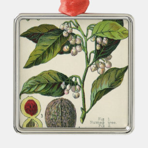 Ornamento De Metal Sementes De Frutas De Plantas Vintage Nutmeg, Plan