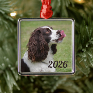 Ornamento De Metal Sentado Inglês Springer Spaniel, Lábios de Licenci