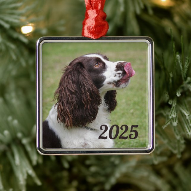 Ornamento De Metal Sentado Inglês Springer Spaniel, Lábios de Licenci (Árvore)