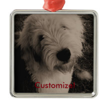 Sheepdog inglês velho