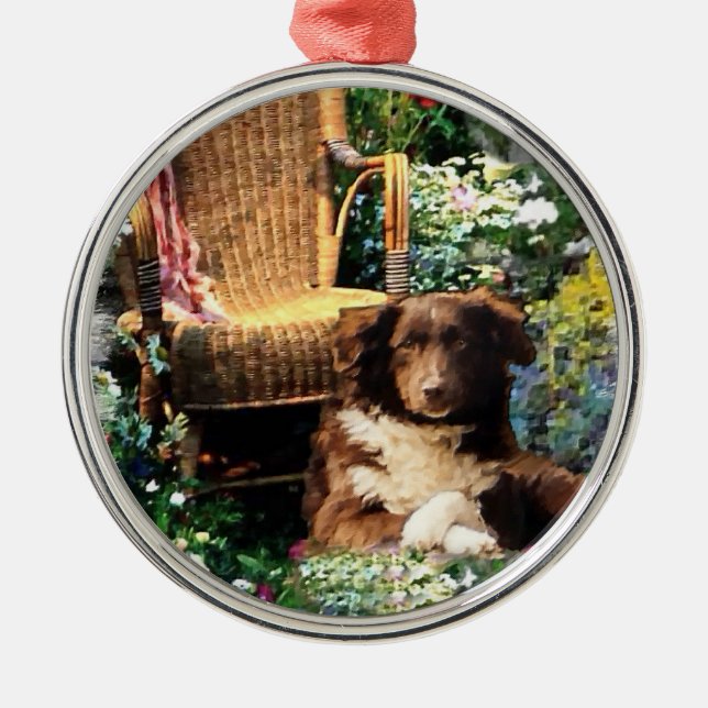 Ornamento De Metal Shepherd Dog Art Australiano (Frente)