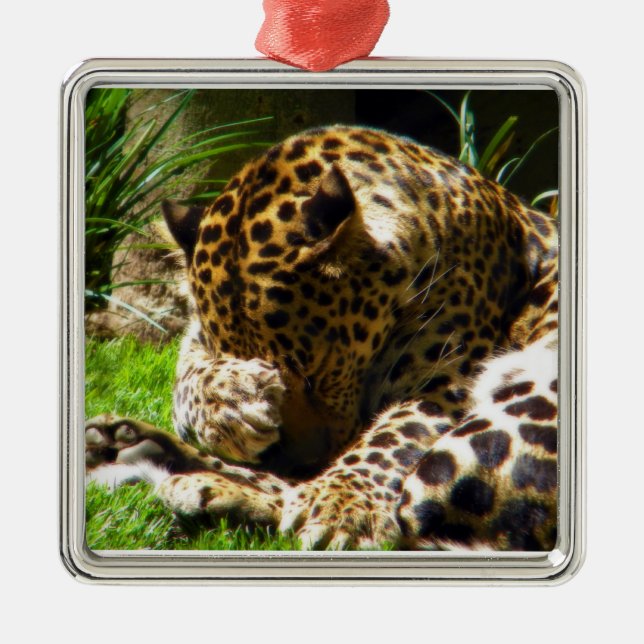 Ornamento De Metal Shy Leopard (Frente)