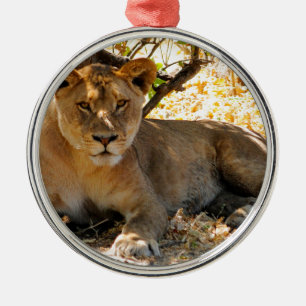 Ornamento De Metal Siesta Time