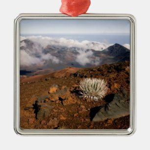 Ornamento De Metal Silversword no cume da cratera Haleakala a partir 