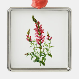 Ornamento De Metal Snapdragon cor-de-rosa seleccionado da natureza