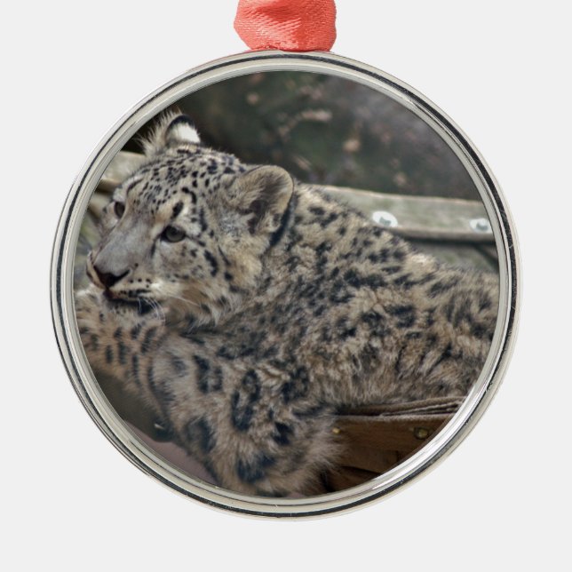 Ornamento De Metal Snow Lepard (Frente)