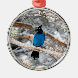 Ornamento De Metal Steller's Jay Round