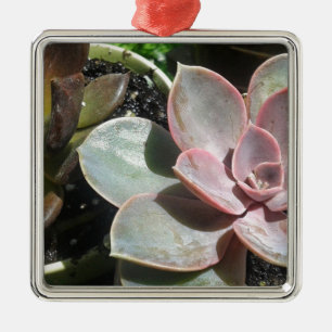 Ornamento De Metal #suculento, planta suculenta, bonito suculenta ros