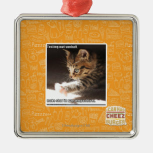 Ornamento De Metal Sunbaff do owt do teste