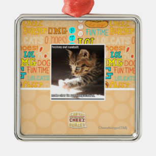 Ornamento De Metal Sunbaff do owt do teste