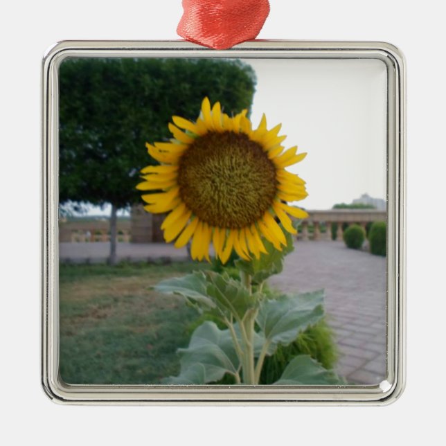 Ornamento De Metal Sunflower Art Impressão (Frente)