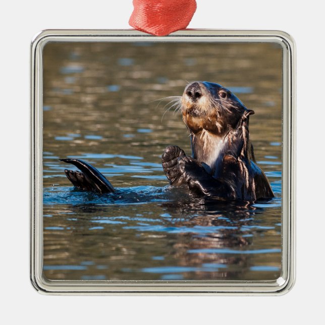 Ornamento De Metal Sunny Sea Otter (Frente)