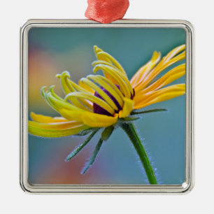 Ornamento De Metal Susan de olhos pretos