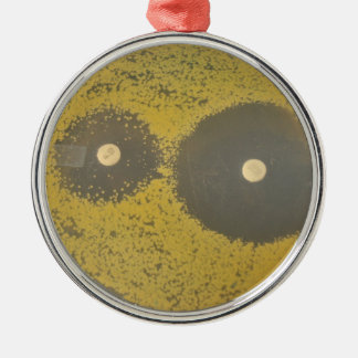 Ornamento De Metal Susceptibilidade antibiótica bacteriana