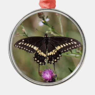 Ornamento De Metal Swallowtail preto