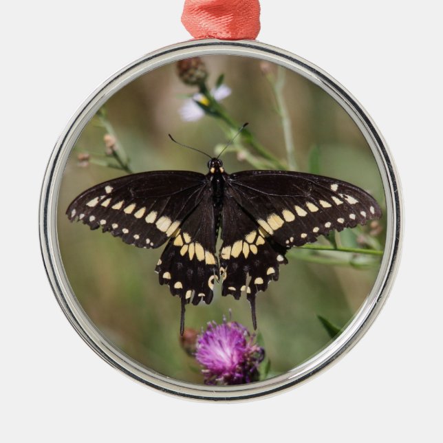 Ornamento De Metal Swallowtail preto (Frente)