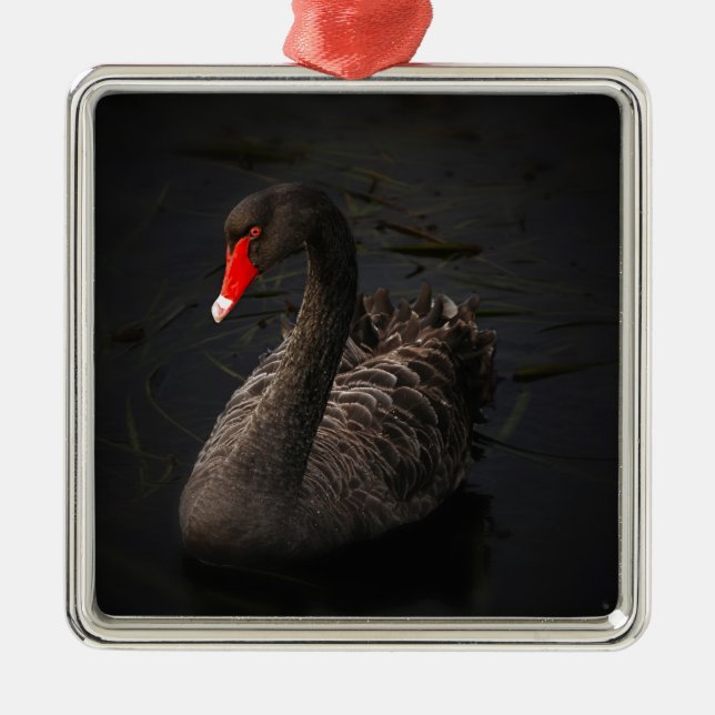 Ornamento De Metal Swan Negro (Frente)