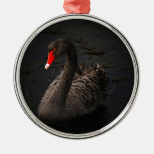 Ornamento De Metal Swan Negro