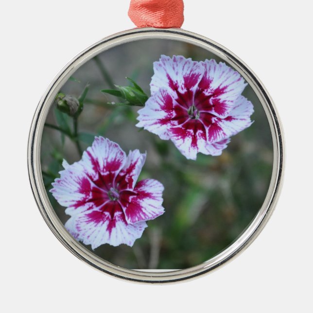 Ornamento De Metal Sweet Williams (Frente)