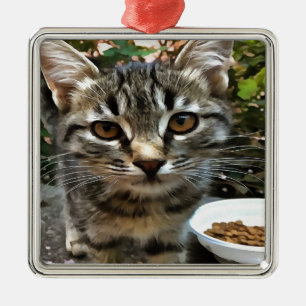 Ornamento De Metal Tabby Cat Kitten Fazer Contato de Olhos