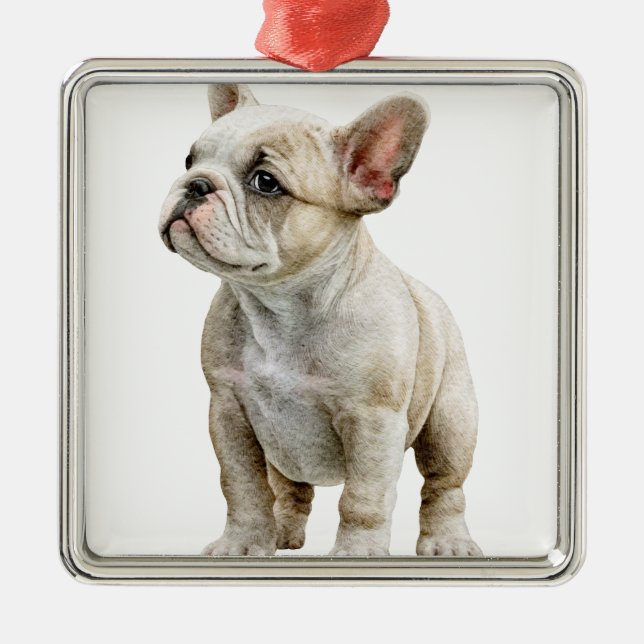ORNAMENTO DE METAL TAN E CACHORRO FRANCÊS BRANCO (Frente)