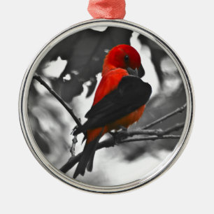 Ornamento De Metal Tanager Escarlate Macho