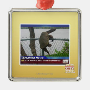 Ornamento De Metal Tartaruga de Excaping