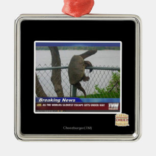 Ornamento De Metal Tartaruga de Excaping