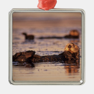 Ornamento De Metal Tartarugas marinhas, Enhydra lutris 3