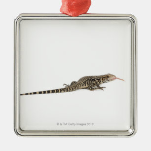 Ornamento De Metal Tegu azul - merianae do Tupinambis