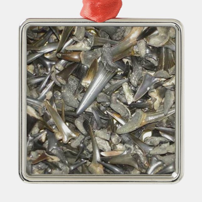 Ornamento De Metal Teste padrão fóssil dos dentes do tubarão (Frente)