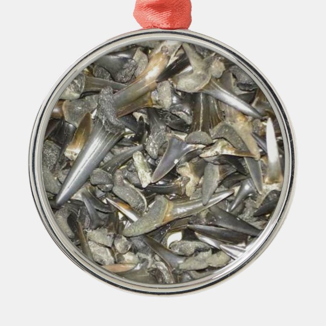 Ornamento De Metal Teste padrão fóssil dos dentes do tubarão (Frente)