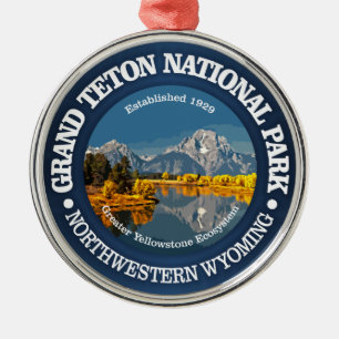 Ornamento De Metal Teton grande NP