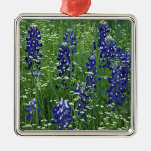 Ornamento De Metal Texas, Lago Buchanan. Texas Bluebonnet e Wild
