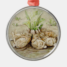 The Flopsy Bunnies Asleep (por Beatrix Potter)