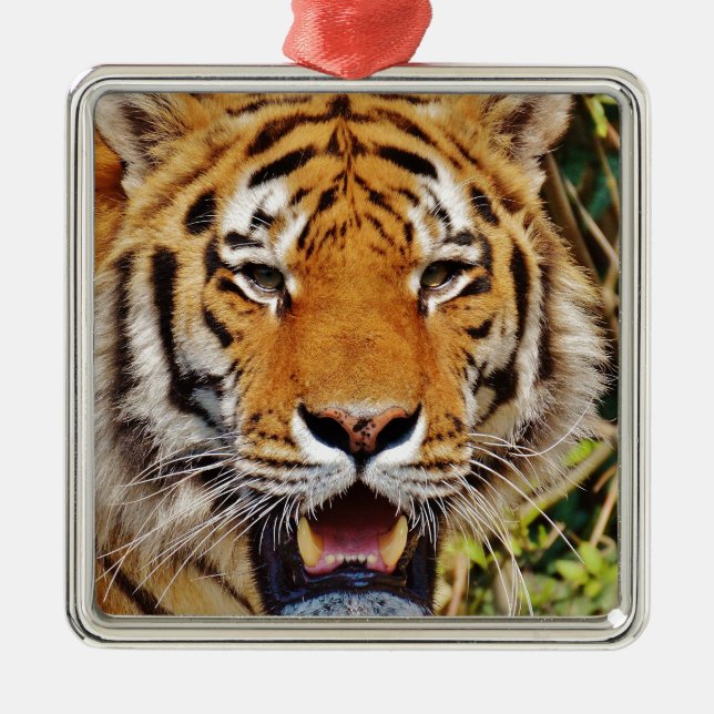 Ornamento De Metal Tigre (Frente)