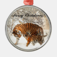 Tigre bebê e mãe Tigre em uma floresta nevada