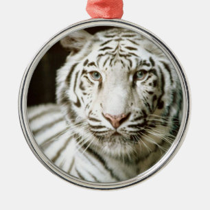 Ornamento De Metal Tigre Branco