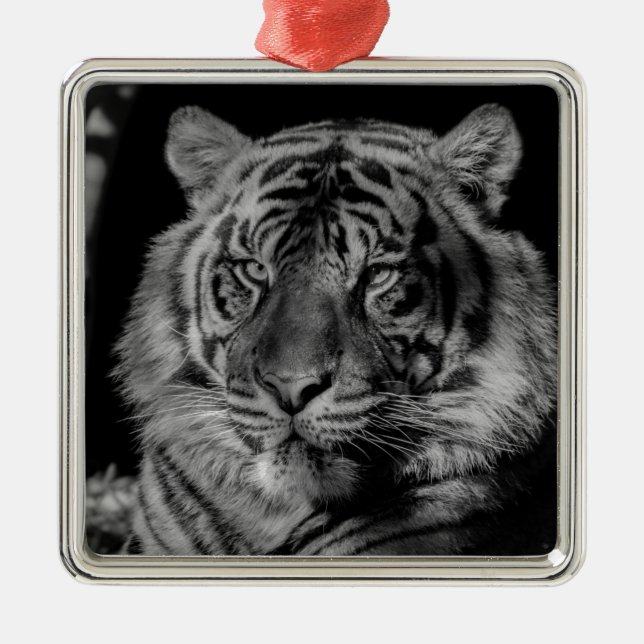 Ornamento De Metal Tigre preto e branco (Frente)