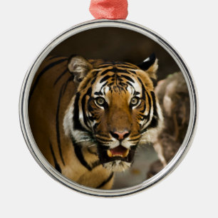 Ornamento De Metal Tigre Siberiano