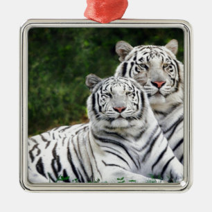 Ornamento De Metal Tigres brancos