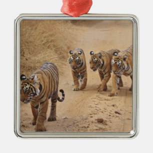 Ornamento De Metal Tigres de Bengala