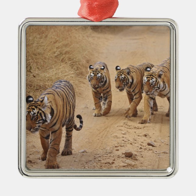 Ornamento De Metal Tigres de Bengala (Frente)