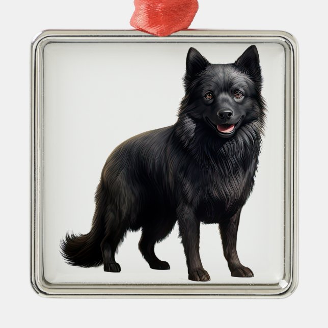 ORNAMENTO DE METAL TINY BLACK SCHIPPERKE CACHORRO (Frente)