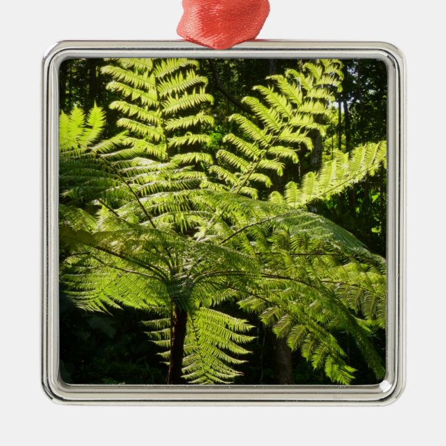 Ornamento De Metal Tree Fern na Floresta Tropical (Frente)
