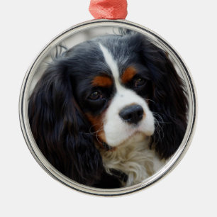 Ornamento De Metal Tricolor Cavalier King Charles Spaniel Cerâmica O